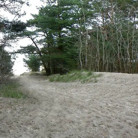 Rubin Mit Sauna Und Kamin, Reetdachhaus Am Walde * טראסנהיידה