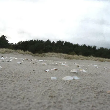 בית נופש Rubin Mit Sauna Und Kamin, Reetdachhaus Am Walde *