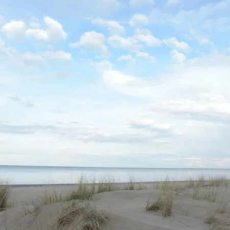 Rubin Mit Sauna Und Kamin, Reetdachhaus Am Walde *